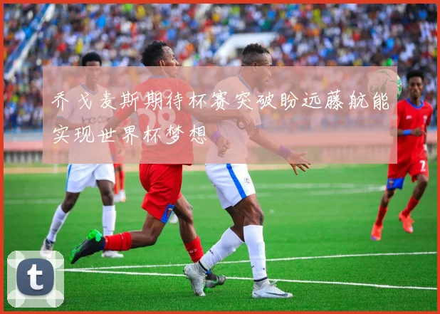 乔戈麦斯期待杯赛突破盼远藤航能实现世界杯梦想