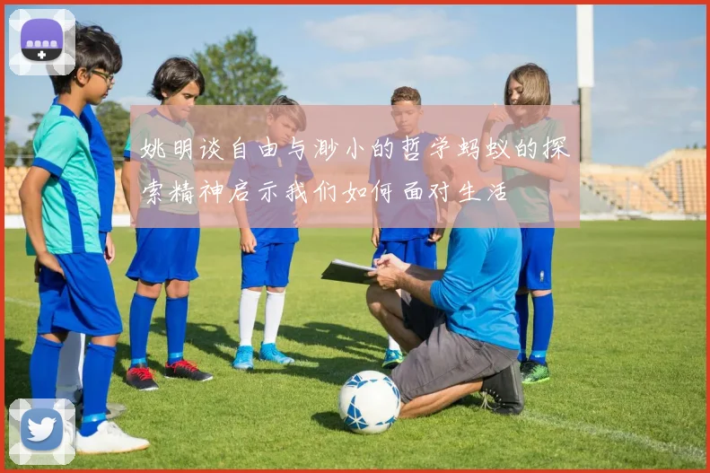 姚明谈自由与渺小的哲学蚂蚁的探索精神启示我们如何面对生活