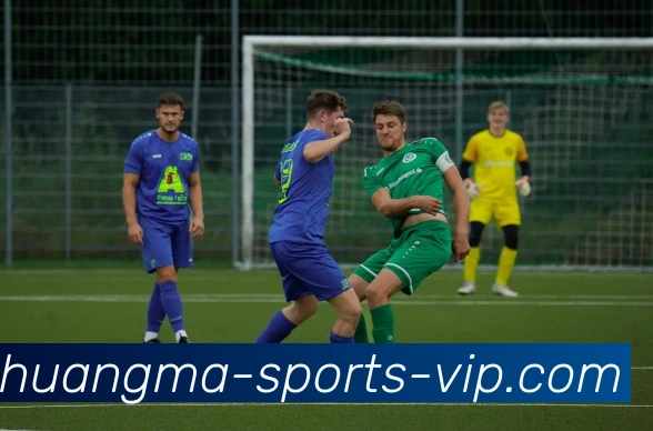 皇马体育平台生态图